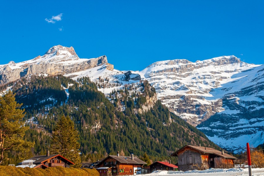 Pourquoi les Alpes suisses sont-elles une destination incontournable ?