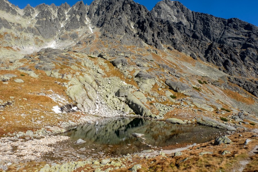 Voyage au coeur de la vallée des merveilles